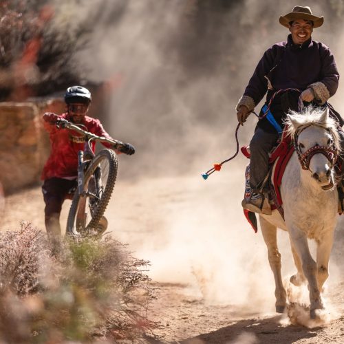 MANDALA_Pierre Vieira00018