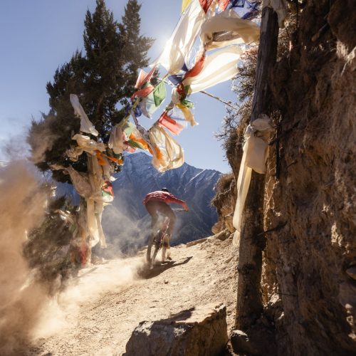 program MANDALA_Pierre Vieira00019